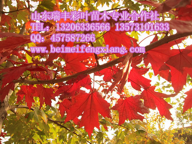 ����������������